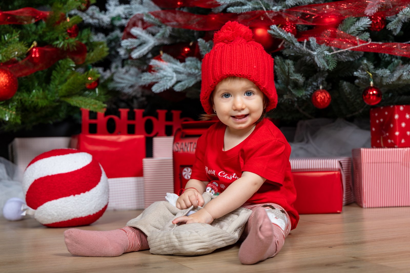 SEDINTA FOTO DE CRACIUN