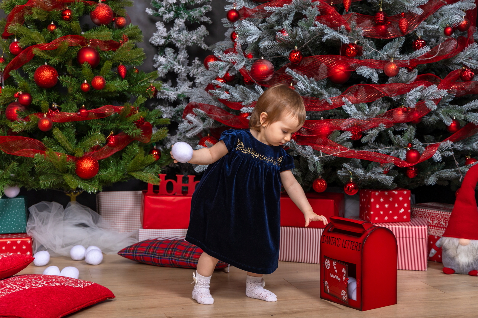 sedinta foto craciun 2025