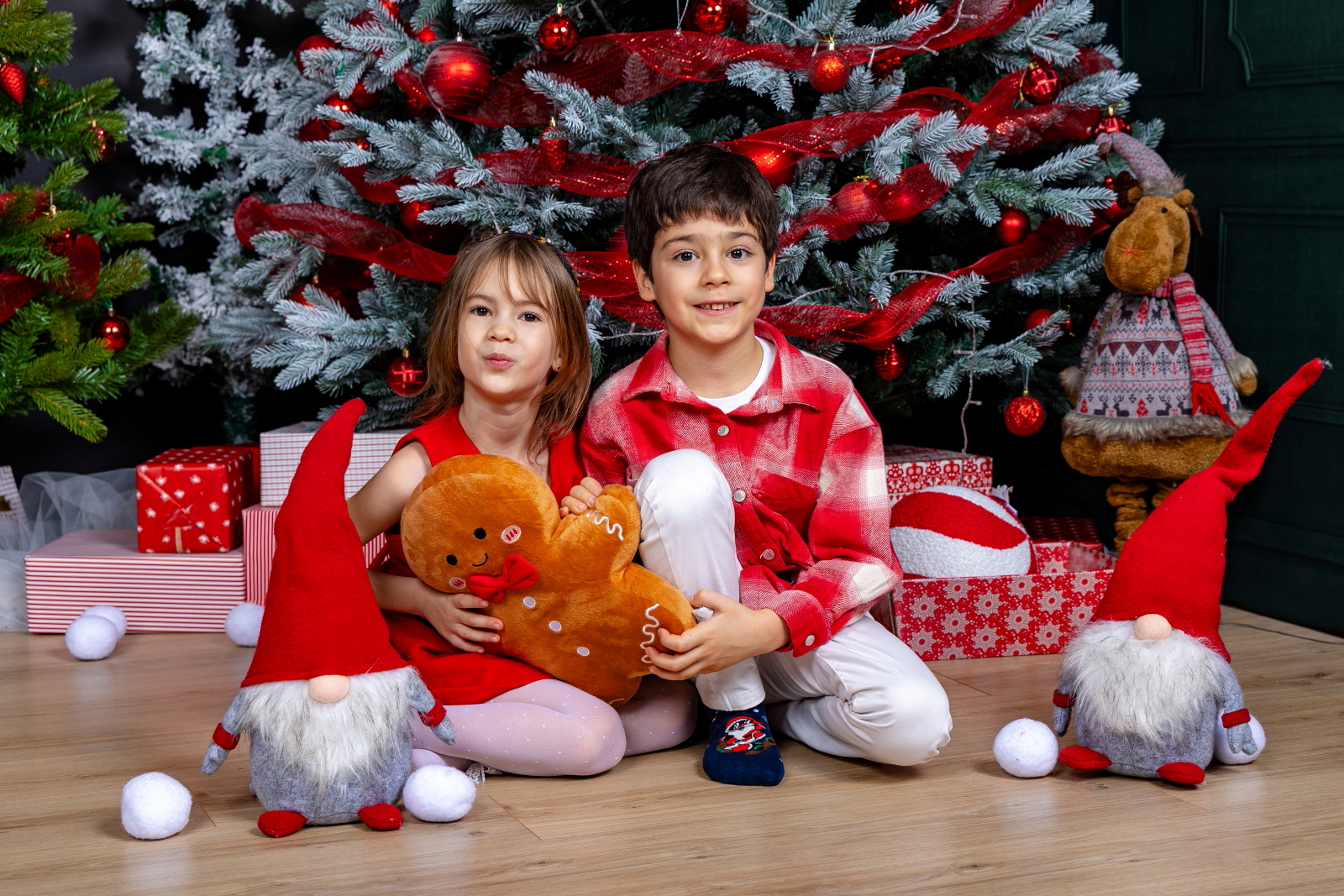 sedinta foto craciun 2025